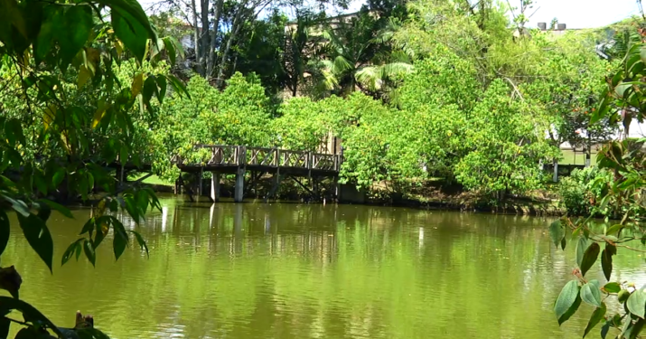 El lago que cambió de color