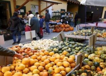 Mercados mundiales de alimentos siguen enfrentados a la incertidumbre