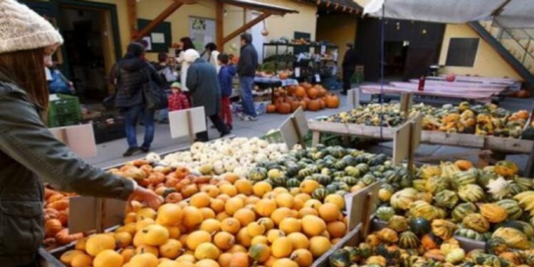 Mercados mundiales de alimentos siguen enfrentados a la incertidumbre