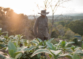 Gran noticia para las familias campesinas