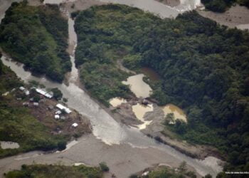 Minambiente atiende solicitud de la Procuraduría frente a problema de la deforestación