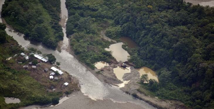 Minambiente atiende solicitud de la Procuraduría frente a problema de la deforestación