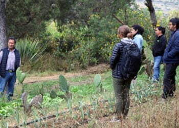 Planear para actuar. Año nuevo, nueva oportunidad para reducir el hambre en Colombia