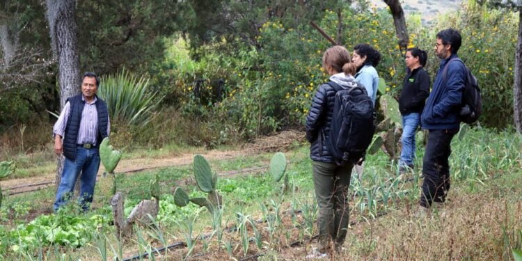 Planear para actuar. Año nuevo, nueva oportunidad para reducir el hambre en Colombia