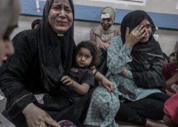 ONU “horrorizada” informa sobre asesinatos, violaciones y humillaciones a familias y ataques sexuales a mujeres palestinas