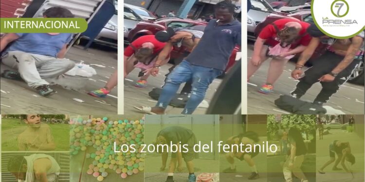 Los zombis del fentanilo