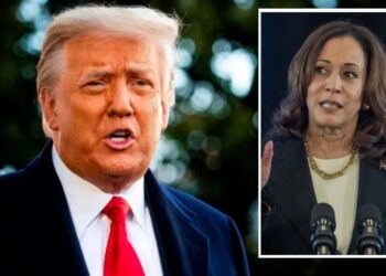 La «maliciosa y tonta» Harris contra «el criminal» Trump