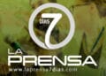 Cinismo de «zánganos periodistas»